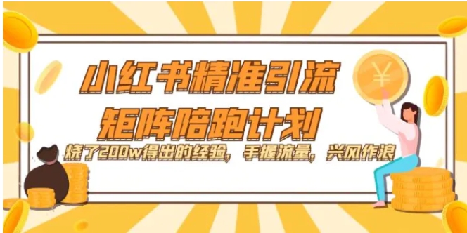 小红书精准引流·矩阵陪跑计划：烧了200w得出的经验，手握流量，兴风作浪！-财仔梦想资源网