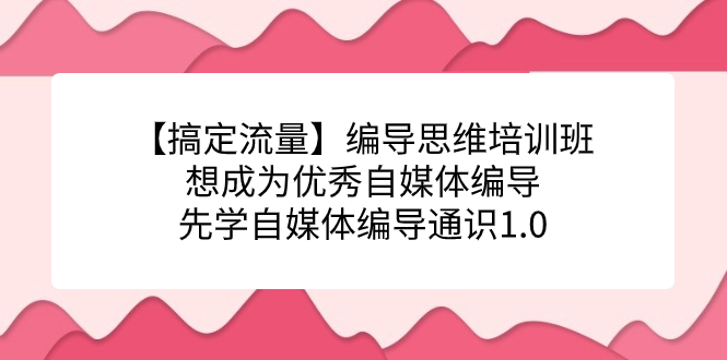 【搞定流量】编导思维培训班，想成为优秀自媒体编导先学自媒体编导通识1.0-财仔梦想资源网