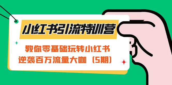 小红书引流特训营-第5期：教你零基础玩转小红书，逆袭百万流量大咖-财仔梦想资源网
