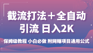 截流打法＋全自动引流 日入2K 保姆级教程 小白必做 附网赚项目通用公式-财仔梦想资源网