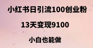 小红书日引流100+创业粉，13天变现9100，创业首选引流平台-财仔梦想资源网