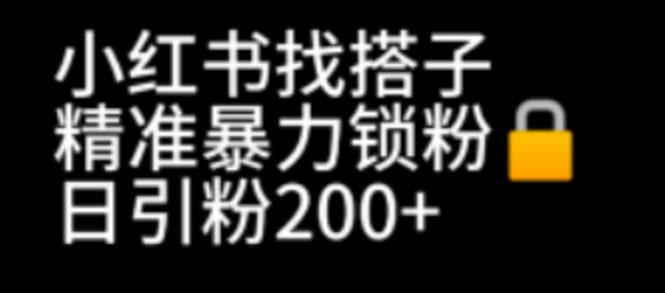 小红书找搭子暴力精准锁粉+引流日引200+精准粉-财仔梦想资源网