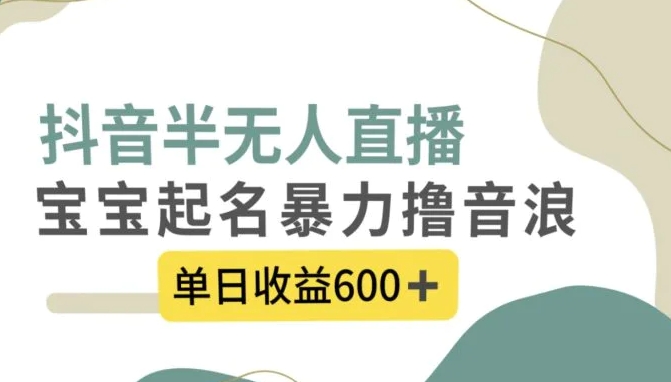抖音半无人直播，宝宝起名，暴力撸音浪，单日收益600+-财仔梦想资源网