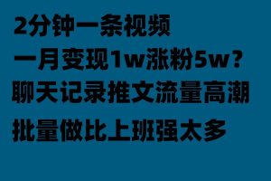 聊天记录推文玩法，2分钟一条视频一月变现1w涨粉5W【附软件】-财仔梦想资源网