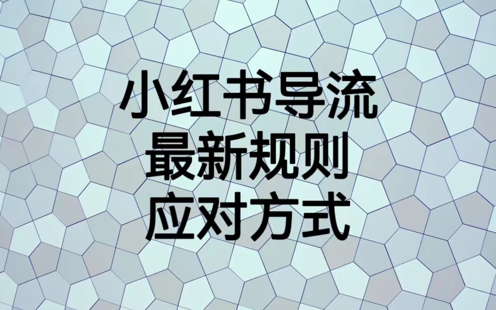 小红书导流最新规则应对方式，新规以后目前还可用的引流方式解读-财仔梦想资源网