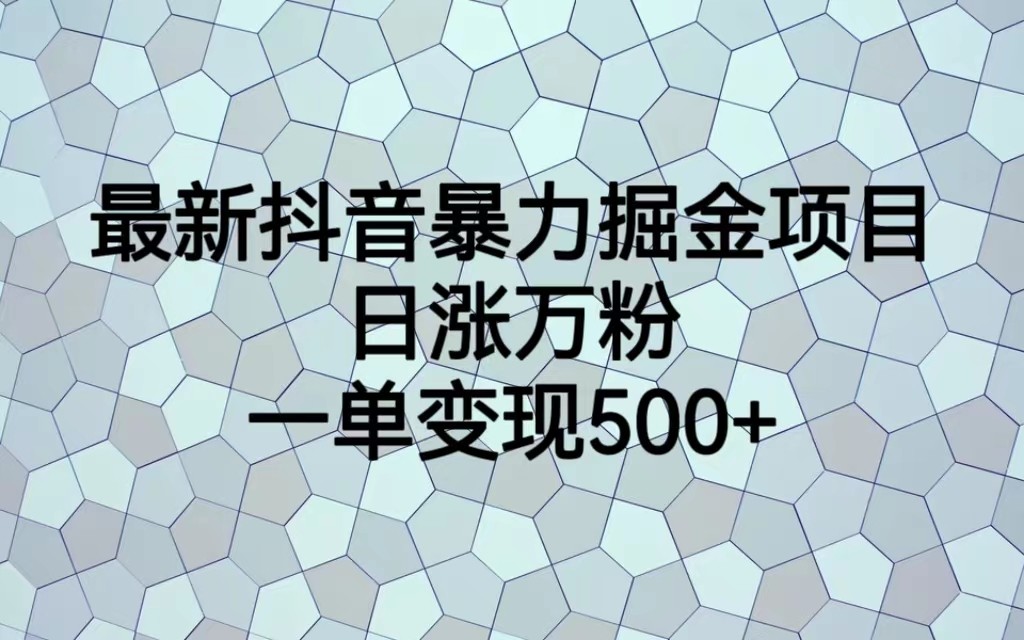 最新抖音暴力掘金项目，日涨万粉，一单变现500+-财仔梦想资源网