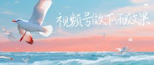 视频号做下雨视频，一个账号一周涨粉10W+，日入1000+附保姆级教程-财仔梦想资源网