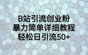 B站引流创业粉，暴力简单详细教程，轻松日引流50+-财仔梦想资源网
