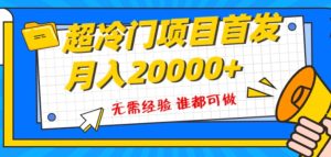 超级冷门项目，粤语动画赛道，十分钟一个原创视频，简单易上手 实测月入1w+-财仔梦想资源网