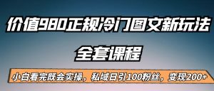 外面卖980的正规冷门图文新玩法，私域日引100粉丝，变现200+-财仔梦想资源网