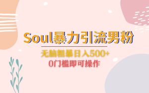 Soul暴力引流男粉玩法，无脑粗暴日入500＋，0门槛即可操作-财仔梦想资源网