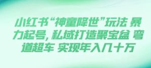 小红书“神童降世”玩法 暴力起号,私域打造聚宝盆 弯道超车 实现年入几十万-财仔梦想资源网