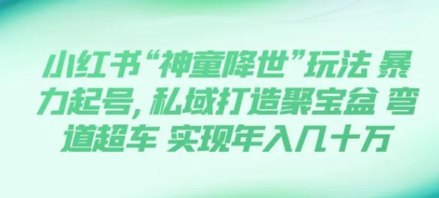 小红书“神童降世”玩法 暴力起号,私域打造聚宝盆 弯道超车 实现年入几十万-财仔梦想资源网