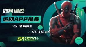 如何通过追剧APP撸金，日入1500+-财仔梦想资源网