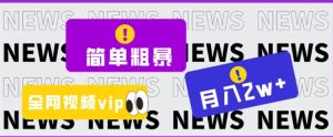 简单粗暴零成本，高回报，全网视频VIP掘金项目，月入2万＋-财仔梦想资源网