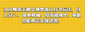 丑小鸭变天鹅女神塑造小红书玩法，月入5万+，简单易懂，按流程操作，草根也能真正实现逆袭！-财仔梦想资源网