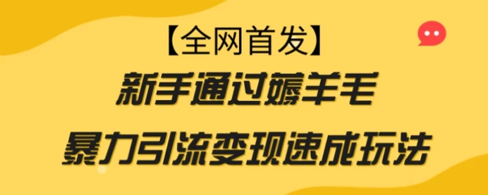 【全网首发】新手通过薅羊毛暴力引流变现速成玩法-财仔梦想资源网
