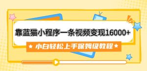 靠蓝猫小程序一条视频变现16000+小白轻松上手保姆级教程-财仔梦想资源网