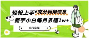 每月多赚1w+，新手小白如何充分利用信息赚钱，全程实操！-财仔梦想资源网