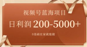 视频号蓝海项目，0基础在家也能做，日入200-5000+【附266G资料】-财仔梦想资源网