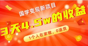 全新蓝海，国学变现新项目，1个人在家做，0退货，3天4.5w收益【178G资料】-财仔梦想资源网