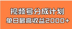 全新蓝海 视频号掘金计划 日入2000+-财仔梦想资源网