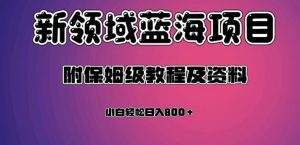 虚拟资源蓝海领域新项目，轻松日入800＋，附保姆级教程及资料-财仔梦想资源网