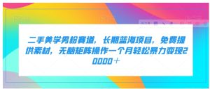 二手美学男粉赛道，长期蓝海项目，无脑矩阵操作一个月轻松暴力变现20000＋-财仔梦想资源网