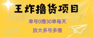 王炸撸货项目，单号0撸30单每天，多号多撸【揭秘】-财仔梦想资源网