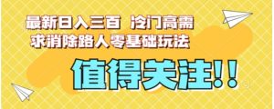 最新日入三百，冷门高需求消除路人零基础玩法【揭秘】-财仔梦想资源网