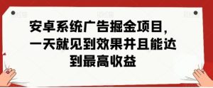 安卓小游戏掘金项目，单机日入40-100+ 秒提秒到-财仔梦想资源网