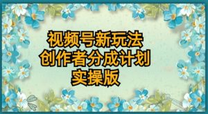 视频号新玩法，创作者分成计划，实操版-财仔梦想资源网