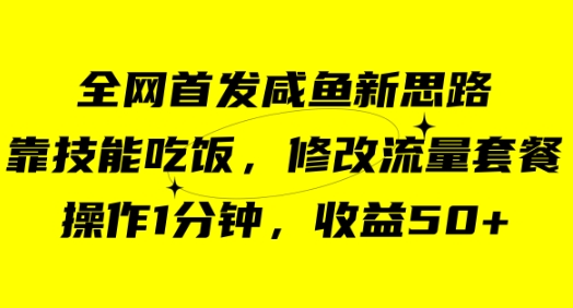 咸鱼冷门新玩法，靠“技能吃饭”，修改流量套餐，操作1分钟，收益50+-财仔梦想资源网