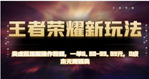 王者荣耀新玩法，卖虚拟国服操作教程，一单6.88-99.99元，0成本无限贩卖【揭秘】-财仔梦想资源网