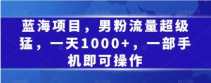 蓝海项目，男粉流量超级猛，一天1000+，一部手机即可操作【揭秘】-财仔梦想资源网