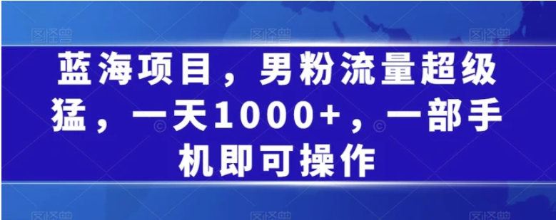 蓝海项目，男粉流量超级猛，一天1000+，一部手机即可操作【揭秘】-财仔梦想资源网