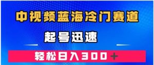 中视频蓝海冷门赛道，韩国视频奇闻解说，起号迅速，日入300＋-财仔梦想资源网