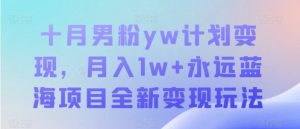 十月男粉yw计划变现，月入1w+永远蓝海项目全新变现玩法【揭秘】-财仔梦想资源网