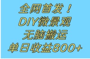 全网首发冷门赛道！DIY微景观，无脑搬运视频，日收益800+【揭秘】-财仔梦想资源网