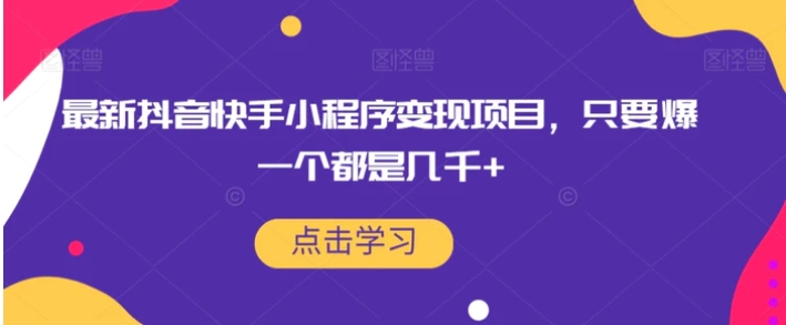 最新抖音快手小程序变现项目，只要爆一个都是几千+-财仔梦想资源网