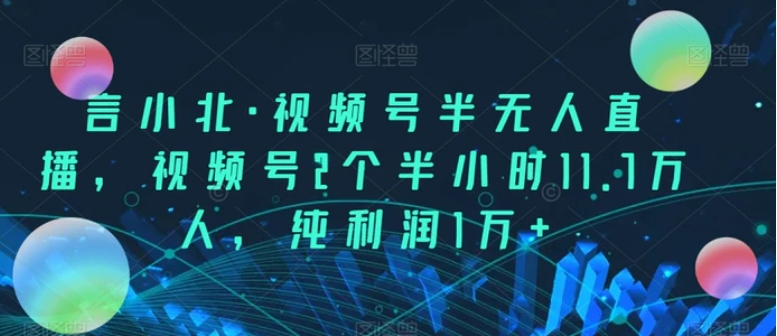 言小北·视频号半无人直播，视频号2个半小时11.7万人，纯利润1万+-财仔梦想资源网