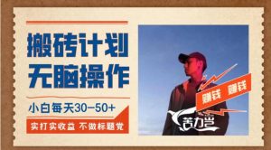 搬砖计划，小白无脑操作每天利润30-50+，完全无脑，不存在封号【揭秘】-财仔梦想资源网