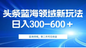 AI头条野路子蓝海领域新玩法2.0，日入300-600＋，附保姆级教程【揭秘】-财仔梦想资源网