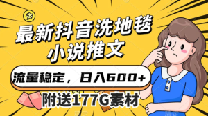 最新抖音洗地毯小说推文，流量稳定，一天收入600-财仔梦想资源网