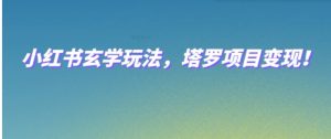 小红书玄学玩法，塔罗项目变现，0成本打造自己的ip不是梦！-财仔梦想资源网
