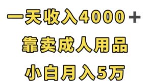 一天收入4000+，靠卖成人用品，小白轻松月入5万【揭秘】-财仔梦想资源网