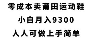 零成本卖莆田运动鞋，小白月入9300，人人可做上手简单【揭秘】-财仔梦想资源网