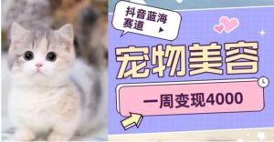 抖音蓝海赛道，宠物美容，一周变现4000-财仔梦想资源网