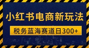 税务师小红书电商新玩法，知识撸金稳定300+-财仔梦想资源网