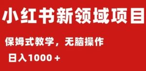 小红书AI掘金：保姆式教程，日入1000＋，小白可轻松上手-财仔梦想资源网